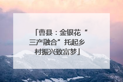 曹县：金银花“三产融合”托起乡村振兴致富梦