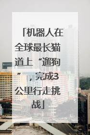 机器人在全球最长猫道上“遛狗”，完成3公里行走挑战