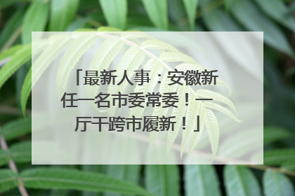 最新人事：安徽新任一名市委常委！一厅干跨市履新！