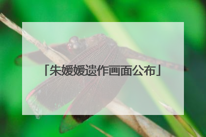 朱媛媛遗作画面公布