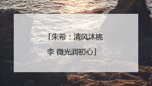 朱希：清风沐桃李 微光润初心