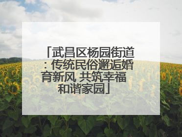 武昌区杨园街道：传统民俗邂逅婚育新风 共筑幸福和谐家园