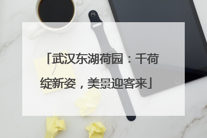 武汉东湖荷园：千荷绽新姿，美景迎客来
