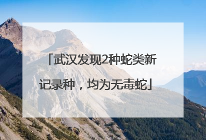 武汉发现2种蛇类新记录种，均为无毒蛇
