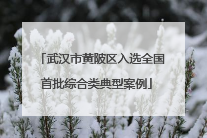 武汉市黄陂区入选全国首批综合类典型案例
