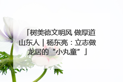 树美德文明风 做厚道山东人｜杨东亮：立志做龙居的“小丸童”