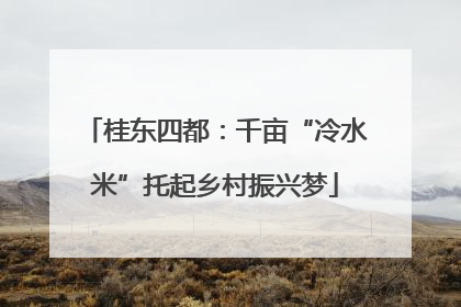 桂东四都：千亩“冷水米”托起乡村振兴梦
