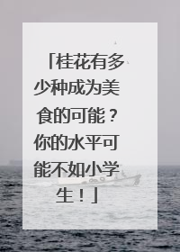 桂花有多少种成为美食的可能？你的水平可能不如小学生！