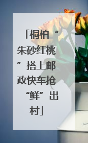 桐柏“朱砂红桃”搭上邮政快车抢“鲜”出村