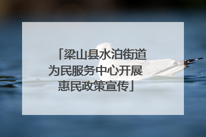 梁山县水泊街道为民服务中心开展惠民政策宣传