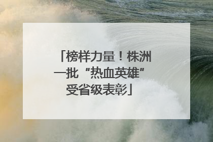 榜样力量！株洲一批“热血英雄”受省级表彰