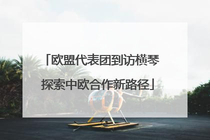 欧盟代表团到访横琴 探索中欧合作新路径