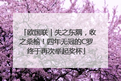 欧国联｜失之东隅，收之桑榆！四年无冠的C罗终于再次举起奖杯