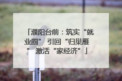 濮阳台前：筑实“就业圈” 引回“归巢雁” 激活“家经济”