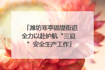 潍坊寒亭固堤街道全力以赴护航“三夏”安全生产工作