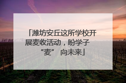 潍坊安丘这所学校开展麦收活动，盼学子 “麦” 向未来