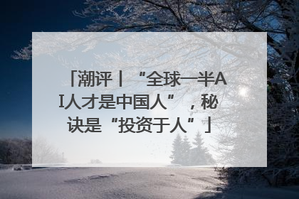 潮评丨“全球一半AI人才是中国人”，秘诀是“投资于人”
