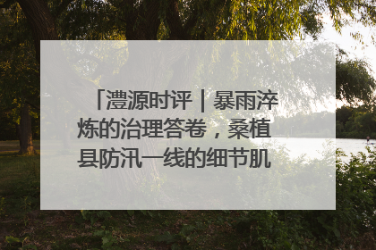 澧源时评｜暴雨淬炼的治理答卷，桑植县防汛一线的细节肌理与体系力量