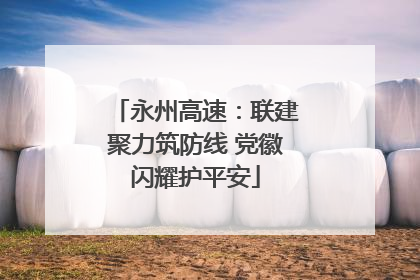 永州高速：联建聚力筑防线 党徽闪耀护平安