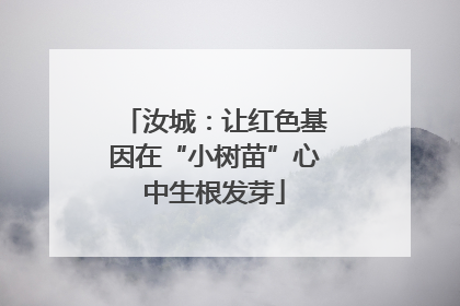 汝城：让红色基因在“小树苗”心中生根发芽
