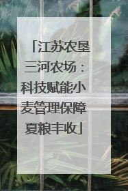 江苏农垦三河农场：科技赋能小麦管理保障夏粮丰收