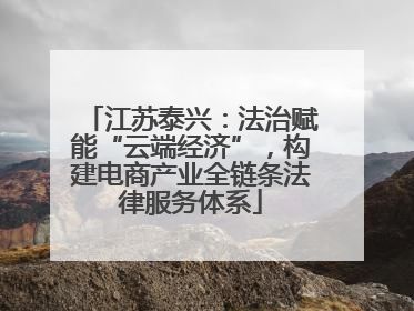 江苏泰兴：法治赋能“云端经济”，构建电商产业全链条法律服务体系