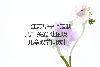 江苏阜宁“定制式”关爱 让困境儿童双节同欢