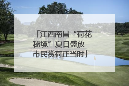 江西南昌“荷花秘境”夏日盛放 市民赏荷正当时