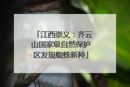 江西崇义：齐云山国家级自然保护区发现蜘蛛新种