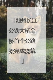 池州长江公铁大桥全桥首个公路梁完成浇筑
