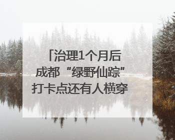 治理1个月后 成都“绿野仙踪”打卡点还有人横穿马路去拍照吗？｜民情瞭望