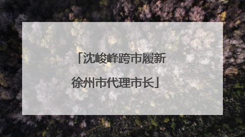 沈峻峰跨市履新徐州市代理市长