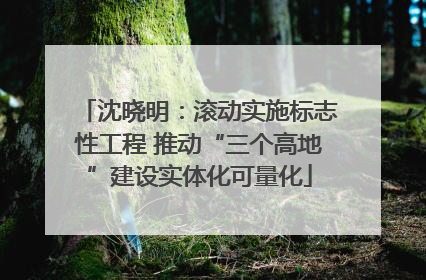沈晓明：滚动实施标志性工程 推动“三个高地”建设实体化可量化