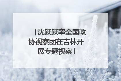 沈跃跃率全国政协视察团在吉林开展专题视察