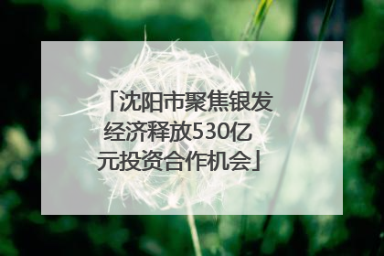 沈阳市聚焦银发经济释放530亿元投资合作机会