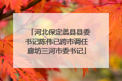 河北保定蠡县县委书记陈伟已跨市调任廊坊三河市委书记