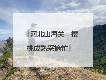 河北山海关：樱桃成熟采摘忙