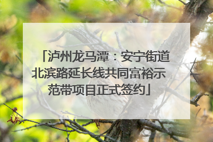 泸州龙马潭：安宁街道北滨路延长线共同富裕示范带项目正式签约