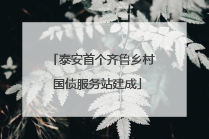 泰安首个齐鲁乡村国债服务站建成