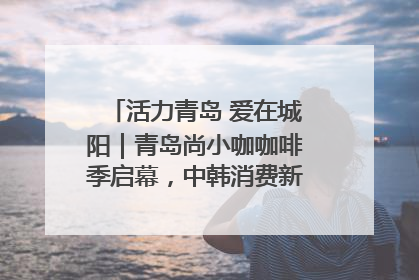 活力青岛 爱在城阳｜青岛尚小咖咖啡季启幕，中韩消费新场景点燃夏日热情