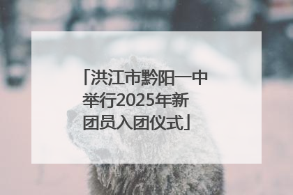 洪江市黔阳一中举行2025年新团员入团仪式