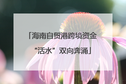 海南自贸港跨境资金“活水”双向奔涌