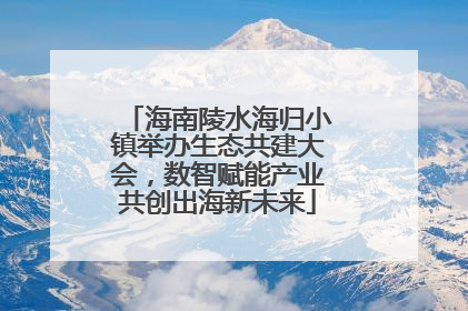 海南陵水海归小镇举办生态共建大会，数智赋能产业共创出海新未来