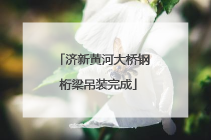 济新黄河大桥钢桁梁吊装完成