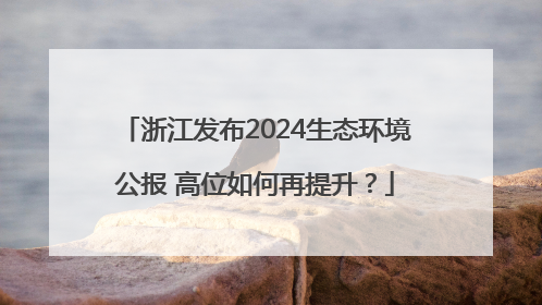 浙江发布2024生态环境公报 高位如何再提升？