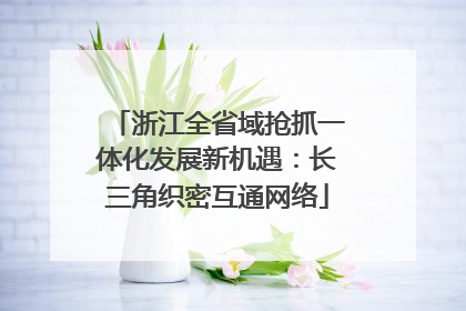 浙江全省域抢抓一体化发展新机遇：长三角织密互通网络