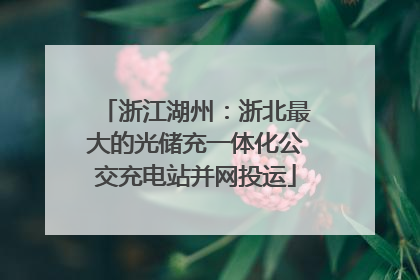 浙江湖州：浙北最大的光储充一体化公交充电站并网投运