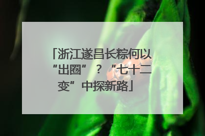 浙江遂昌长粽何以“出圈”？“七十二变”中探新路