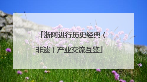 浙阿进行历史经典（非遗）产业交流互鉴