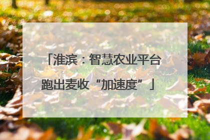 淮滨：智慧农业平台跑出麦收“加速度”